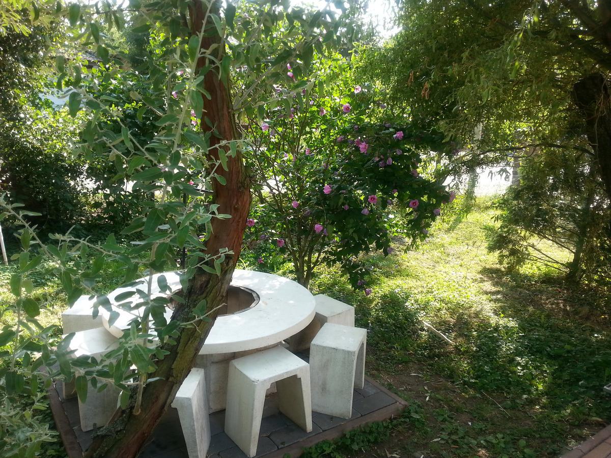 Bed and Breakfast Felso Fogado Felsotold Экстерьер фото